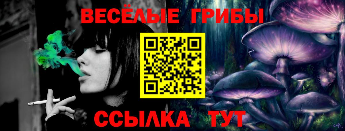 Псилоцибиновые грибы Psilocybe  купить наркоту  Псилоцибиновые грибы мицелий  Каспийск  Вход с VPN 